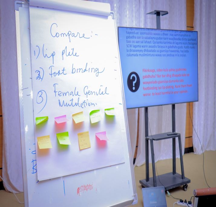 Advanced Training for University Students Activists on FGM Prevention | SAAD 33333