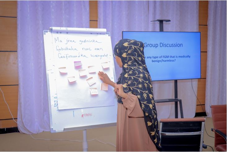  Facilitator capturing participants' opinions on the existence of medically benign or beneficial FGM.